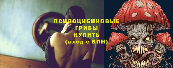 MDMA Premium VHQ Богородицк